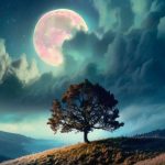 Απόψε-το-βράδυ-στον-ουρανό-η-πανσέληνος-Απριλίου-2024-–-Πώς-θα-φωτογραφίσετε-το-«Ροζ-Φεγγάρι»